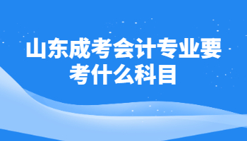 山東成考會計專業(yè)要考什么科目