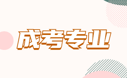 山東成考有哪些專業(yè)比較實用?