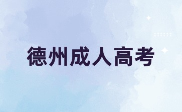 德州成人高考每年可以報考幾次?