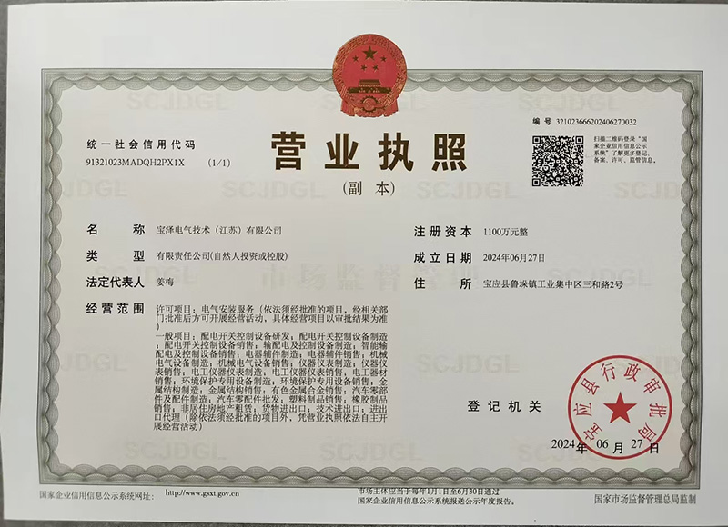 寶澤電氣技術(shù)（江蘇）有限公司營業(yè)執(zhí)照